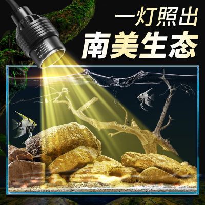 小佩魚缸燈維修電話：小佩魚缸燈維修 魚缸百科 第2張