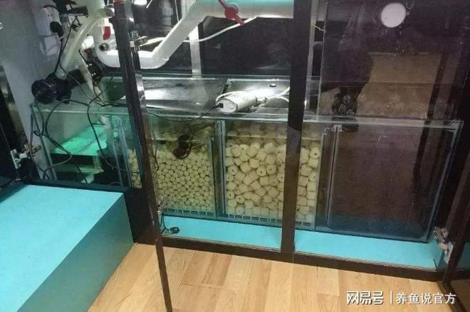 魚缸濾盒濾材擺放順序：如何正確擺放魚缸濾材 魚缸百科 第2張