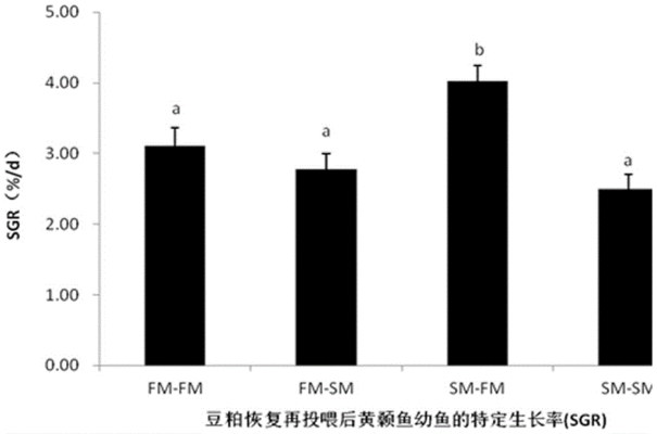 雪龍魚飼料中添加植物蛋白效果：雪龍魚飼料中植物蛋白替代方案 龍魚百科 第2張