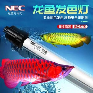 魚缸nec：nec魚缸燈用戶評(píng)價(jià)匯總nec魚缸燈節(jié)能效果對(duì)比 魚缸百科 第5張