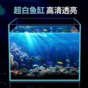 精晶魚缸怎么樣好用嗎：精晶魚缸造景技巧分享 魚缸百科 第5張