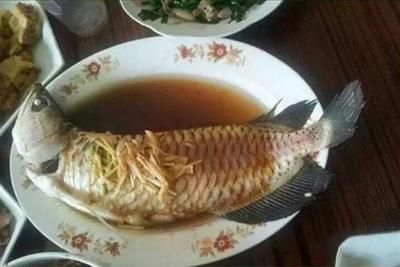 食用龍魚做法大全：清蒸龍魚的多種做法，香煎龍魚的變種做法，番茄龍魚的營養(yǎng)價值 龍魚百科 第3張