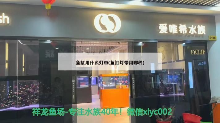 水族箱燈光定時(shí)控制方法：水族箱燈光定時(shí)控制方法在確保魚(yú)類(lèi)健康和生態(tài)平衡 水族燈（魚(yú)缸燈） 第4張