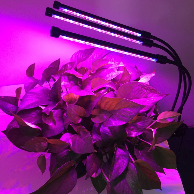 全光譜植物燈適用植物種類：全光譜植物燈與自然光對(duì)比，全光譜植物燈在科研中的應(yīng)用案例 水族燈（魚缸燈） 第4張