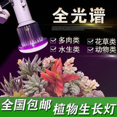 全光譜LED燈與水草生長的關(guān)系研究：全光譜led燈對水草生長有何影響？ 水族燈（魚缸燈） 第5張