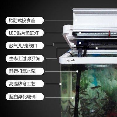 西龍魚缸水泵安裝視頻：西龍魚缸水泵安裝 龍魚百科 第4張