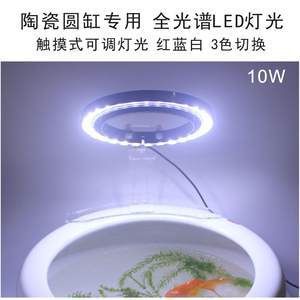 LED燈光對(duì)魚健康的具體影響：led燈光對(duì)魚的健康有多方面影響， 水族燈（魚缸燈） 第5張