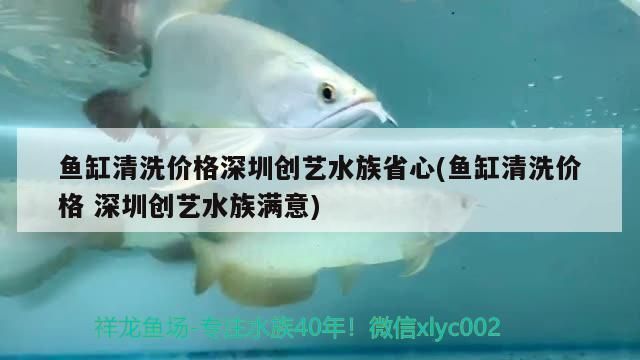 一米魚缸用8毫米玻璃：一米魚缸用8毫米玻璃是一種怎樣的設計 魚缸百科 第2張