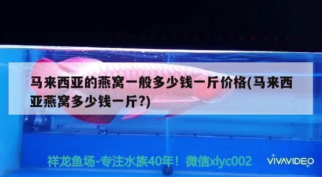 一米魚缸用8毫米玻璃：一米魚缸用8毫米玻璃是一種怎樣的設計 魚缸百科 第3張