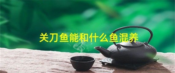 白子關(guān)刀魚藥浴注意事項：白子關(guān)刀魚的藥浴注意事項 白子關(guān)刀魚 第5張