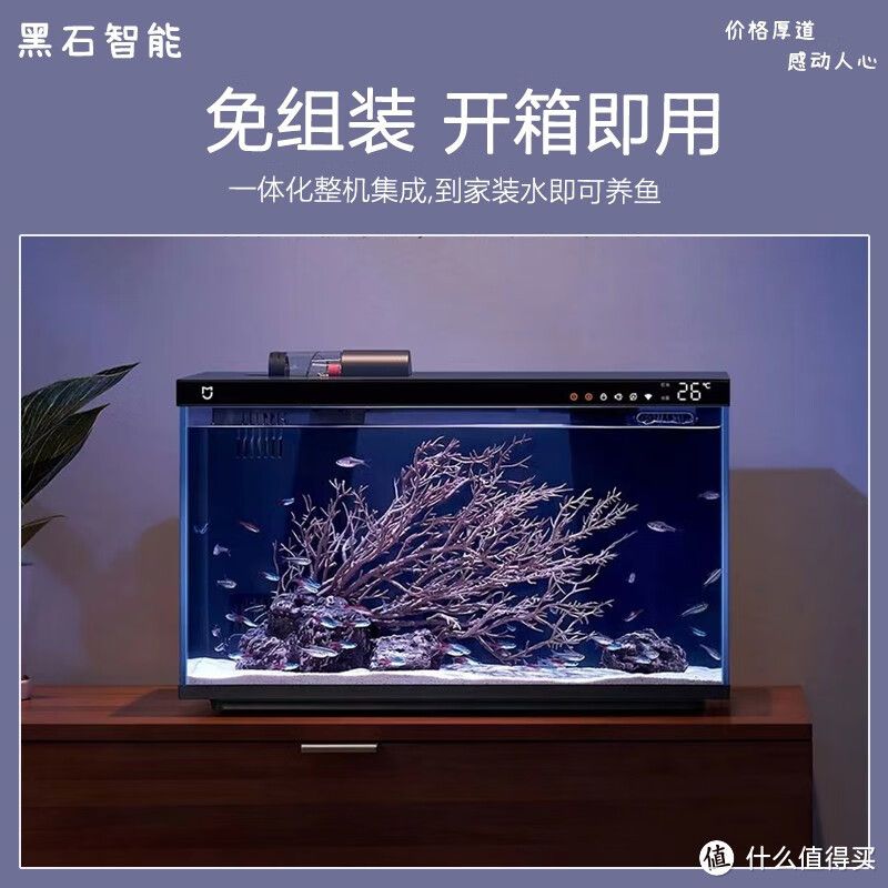 出差魚缸怎么解決：出差前魚缸準(zhǔn)備詳細步驟,自然維護魚缸生態(tài)的方法 魚缸百科 第4張