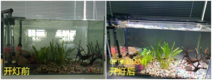 如何選擇適合的水族燈：選擇適合的水族燈時需要考慮以下幾個關(guān)鍵因素 水族燈（魚缸燈） 第3張