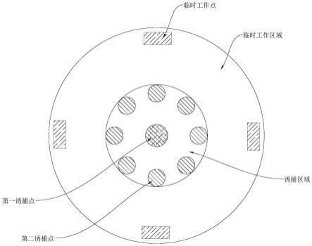 水生植物燈光誘捕效果：水生植物燈光誘捕對水生植物的影響研究，水生植物光合作用受影響 水族燈（魚缸燈） 第1張