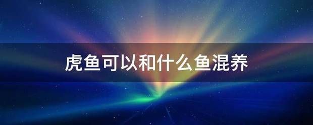 細(xì)線銀版魚疾病防治新策略：細(xì)線銀版魚水質(zhì)凈化劑選擇細(xì)線銀版魚腸炎預(yù)防方法 細(xì)線銀板魚苗 第1張