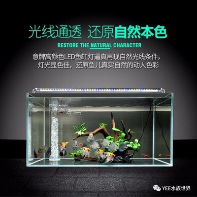 如何選擇適合水草的LED燈：如何選擇適合水草的led燈 水族燈（魚缸燈） 第6張