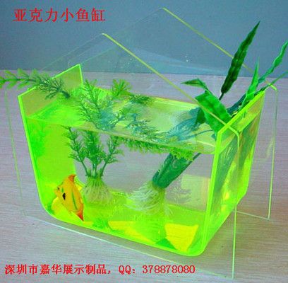 小魚缸推薦：小魚缸品牌口碑對比小魚缸品牌口碑對比小魚缸口碑對比 魚缸百科 第1張