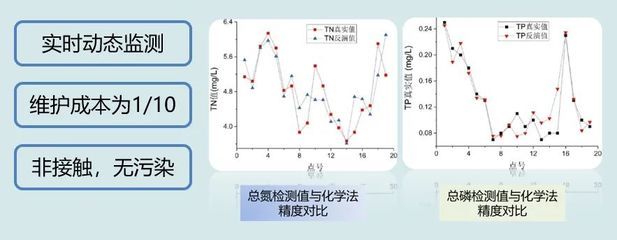 銀板魚混養(yǎng)水質(zhì)檢測頻率：銀板魚混養(yǎng)時水質(zhì)檢測頻率在每天一次，水質(zhì)檢測頻率在每天一次