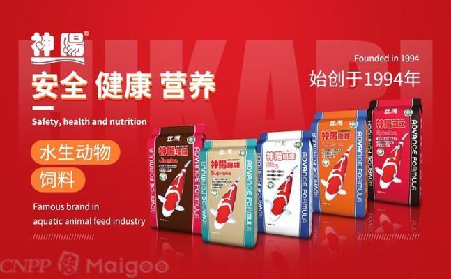 銀板魚飼料品牌推薦：水立方商城銀板魚飼料企業(yè) 細線銀板魚苗 第4張