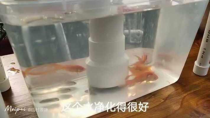 翌美魚缸使用方法視頻教程：翌美魚缸使用方法視頻