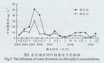 金龍魚(yú)一側(cè)掉眼怎么處理：金龍魚(yú)一側(cè)掉眼怎么辦？ 水族問(wèn)答 第1張