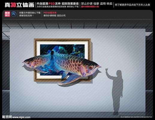 紅龍魚金龍魚壁畫