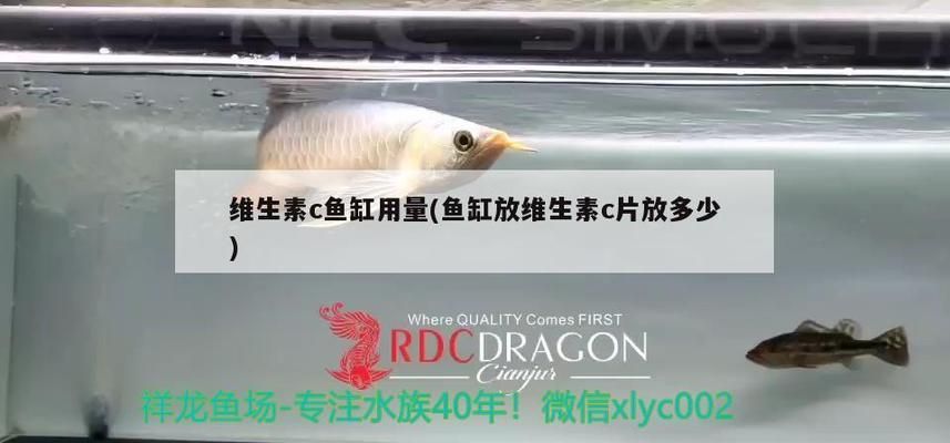 如何改善麥肯斯銀版魚水質：如何判斷魚缸水質是否良好 細線銀板魚苗 第5張