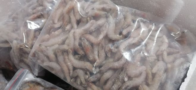 金龍魚一千萬：金龍魚一千萬事件提醒其他企業(yè)在食品安全管理上必須高度重視 水族問答 第1張