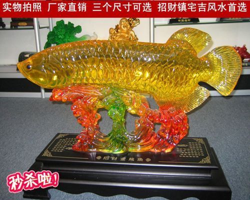 龍魚什么顏色招財(cái)：風(fēng)水魚缸布局指南,紅龍魚品種介紹