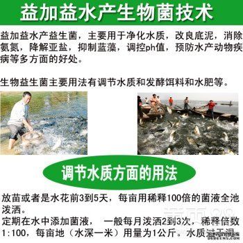 銀板魚混養(yǎng)水質(zhì)調(diào)控方法：銀板魚在混養(yǎng)時對水質(zhì)有一定的要求，水質(zhì)調(diào)控方法總結