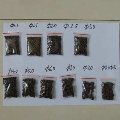 銀版魚幼魚飼料配方研究：銀版魚幼魚的飼料配方 細線銀板魚苗 第3張