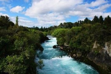 銀板魚(yú)水硬度管理策略：銀板魚(yú)水硬度管理