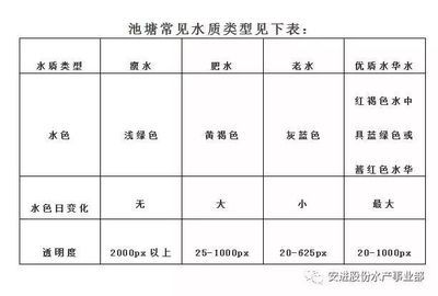 大型魚類飼養(yǎng)水質(zhì)要求：飼養(yǎng)銀龍魚時(shí)需要注意的水質(zhì)要求 龍魚百科 第3張