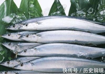 金龍魚銀龍魚怎么養(yǎng)殖的：如何確保金龍魚和銀龍魚的健康和幸福 水族問答 第1張