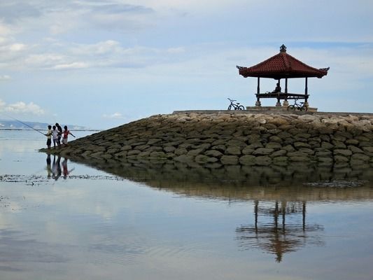 細線銀板魚苗混養(yǎng)空間布局建議：細線銀板魚苗混養(yǎng)水質調控技巧 細線銀板魚苗 第5張