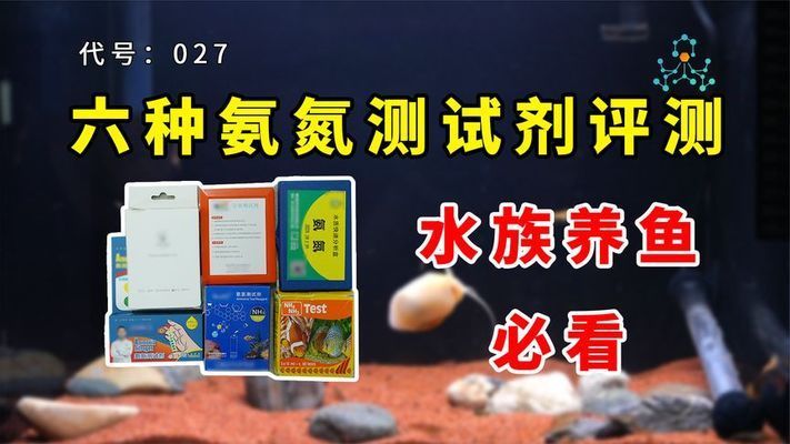 金龍魚用什么色溫的燈：-金龍魚水族箱的燈光至關(guān)重要 水族問答 第1張