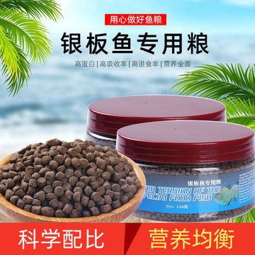 細(xì)線銀板魚苗飼料品牌推薦：如何選擇細(xì)線銀板魚苗飼料 細(xì)線銀板魚苗 第3張