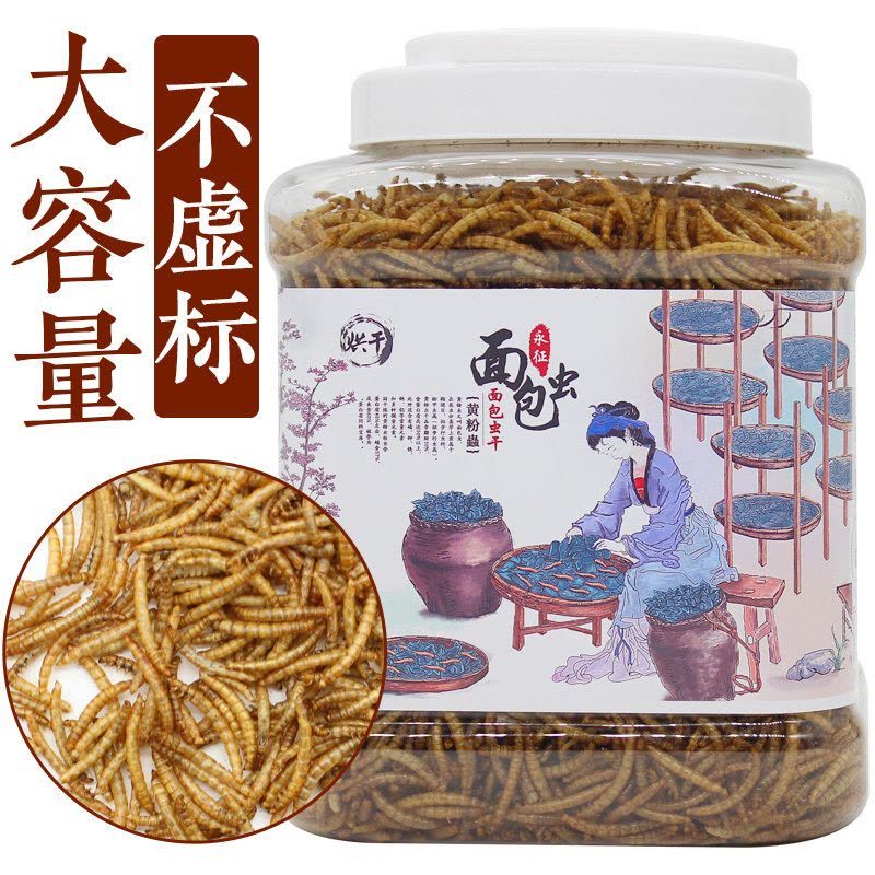 銀龍魚能用黃粉嗎：銀龍魚使用黃粉對(duì)魚類具體危害，水族箱水質(zhì)維護(hù)技巧