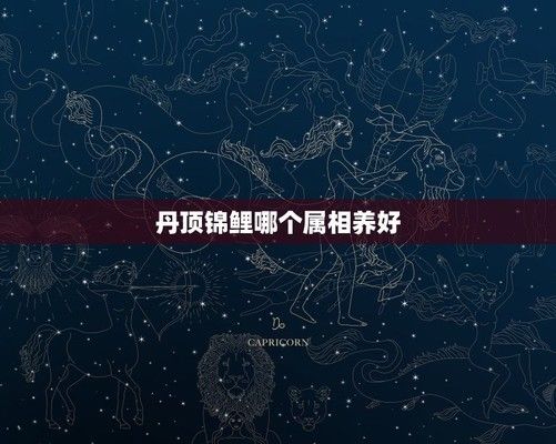 金龍魚幼苗：關(guān)于金龍魚幼苗的問題 水族問答 第1張