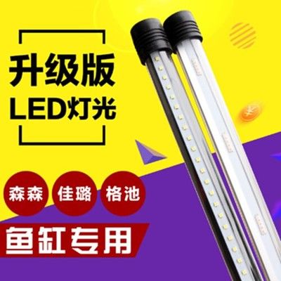 龍魚燈管好還是led燈好呢：led龍魚燈和龍魚燈哪個(gè)好 龍魚百科 第5張