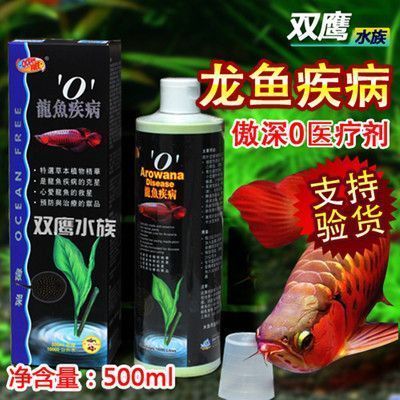 龍魚有病怎么治療好：常見龍魚疾病的治療方法 龍魚百科 第3張