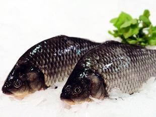 龍魚(yú)中的大湖魚(yú)是什么意思：印尼紅龍與大湖魚(yú)文化背景探究大湖魚(yú)市場(chǎng)價(jià)格趨勢(shì) 龍魚(yú)百科 第5張