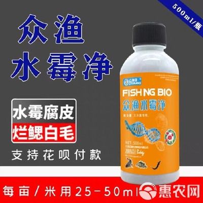 金龍魚魚膠膠質(zhì)怎樣辨別真假：如何辨別金龍魚魚膠的真假？ 水族問答 第1張