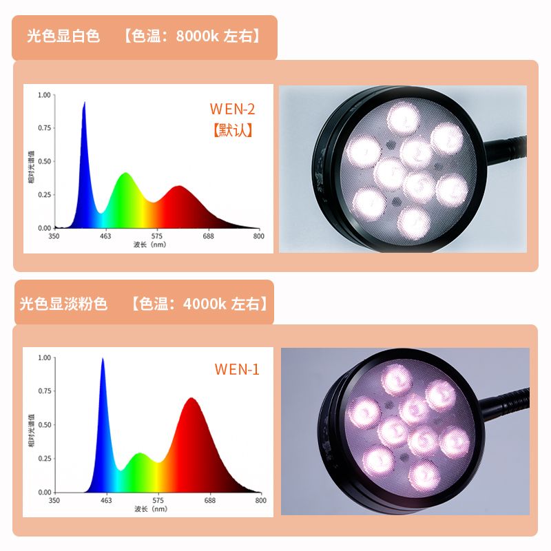 金龍魚魚苗價格查詢最新：購買金龍魚苗時有哪些注意事項？ 水族問答 第1張