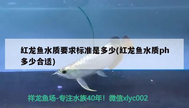 紅龍魚(yú)缸ph值應(yīng)該多少合適？：紅龍魚(yú)缸ph值的詳細(xì)信息：紅龍魚(yú)缸水溫控制技巧 紅龍魚(yú)百科 第5張