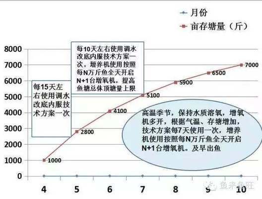 紅龍魚上色用什么燈最好看：紅龍魚上色最佳燈光類型取決于其成長階段和具體需求 紅龍魚百科 第2張