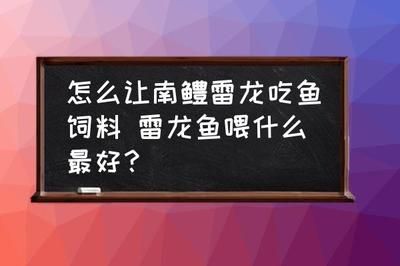 雷龍魚喂飼料長得快嗎為什么：雷龍魚的快速生長速度對比研究 龍魚百科 第3張