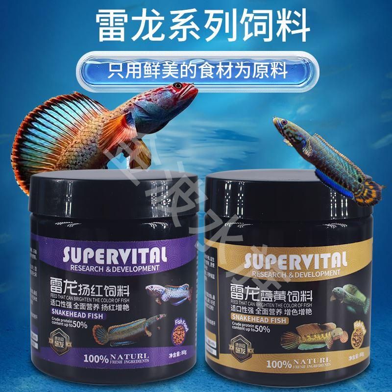 雷龍魚喂飼料長得快嗎為什么：雷龍魚的快速生長速度對比研究 龍魚百科 第4張