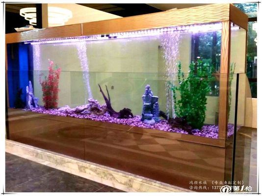 龍魚缸怎么造景最好：水草選擇指南，龍魚缸造景 龍魚百科 第2張