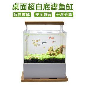 龍魚缸換背景對魚有影響嗎：龍魚缸換背景對魚有影響，龍魚缸換背景對魚有影響嗎 龍魚百科 第1張