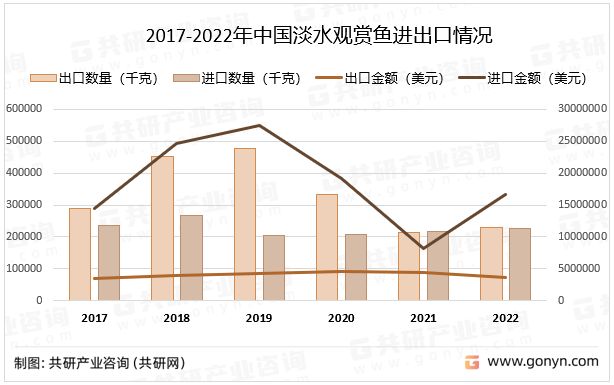 金龍魚怎么畫鉛筆畫的：金龍魚鉛筆畫如何提升作品質(zhì)量，-提升作品質(zhì)量技巧 水族問答 第1張